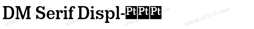 DM Serif Displ字体转换 DM Serif Displ字体转换